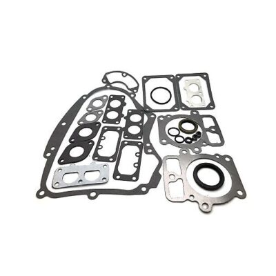 Гарнитури к-кт за двигател Briggs and Stratton  694012